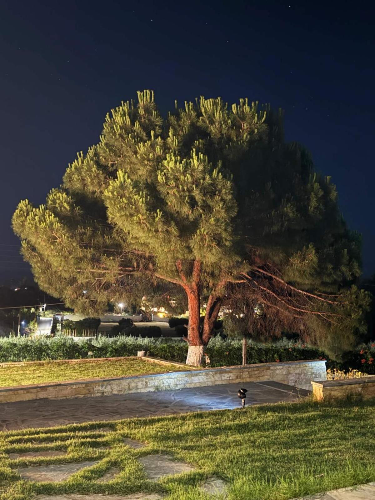 Villa Stadi Nikiti  Exterior foto